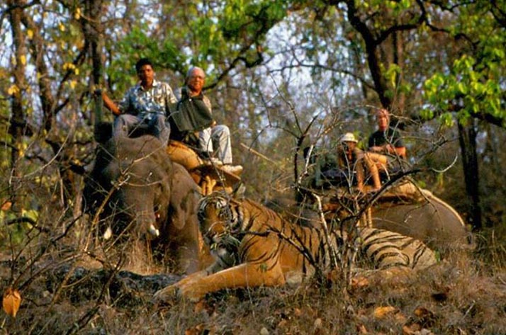 Pench National Park Tour Package