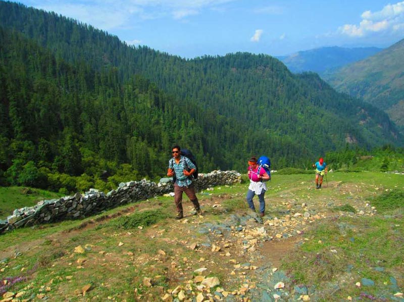 Jalori-Tirthan Valley Track Package