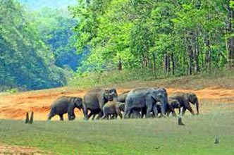 3 Days Periyar Tour with Treehouse