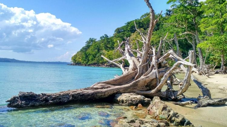 7 Days Adorable Andaman Tour
