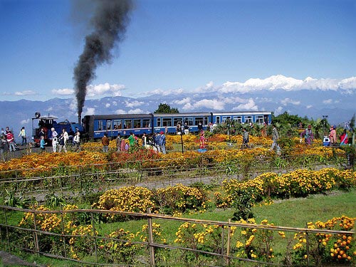 North East Delight with Pelling Package