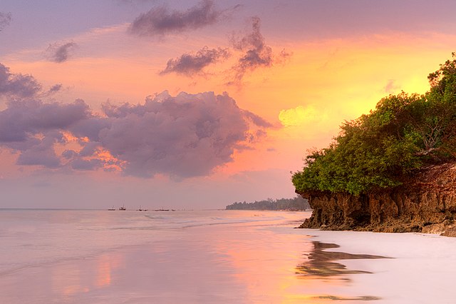 10 Days Kenyan Safari Bush And Beach Safari Tour