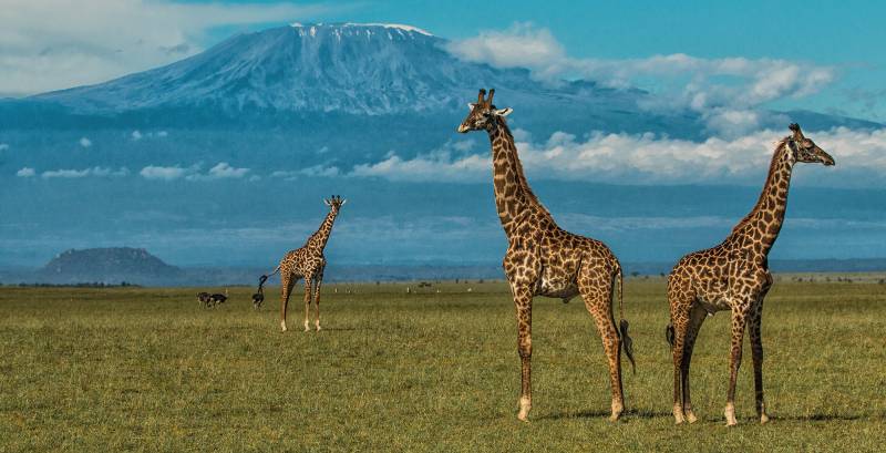 7 Days Kenyan Safari Tour