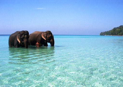 Andaman Package 4 Nights and 5 Days