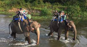 Chitwan Jungle Safari Tour - 2 Nights 3 Days