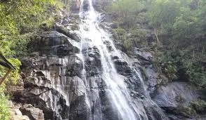 3 Night - 4 Days Pachmarhi Tour Package