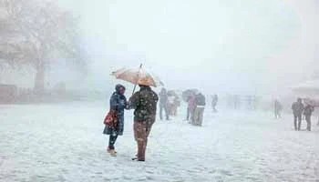 Kullu Manali Shimla Honeymoon 6N - 7D By Volvo