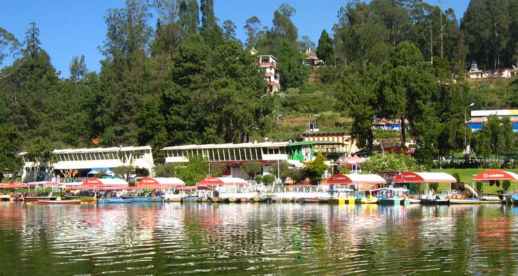 Bangalore - Ooty - Mysore - Coorg - Package 6 Night 7 Days