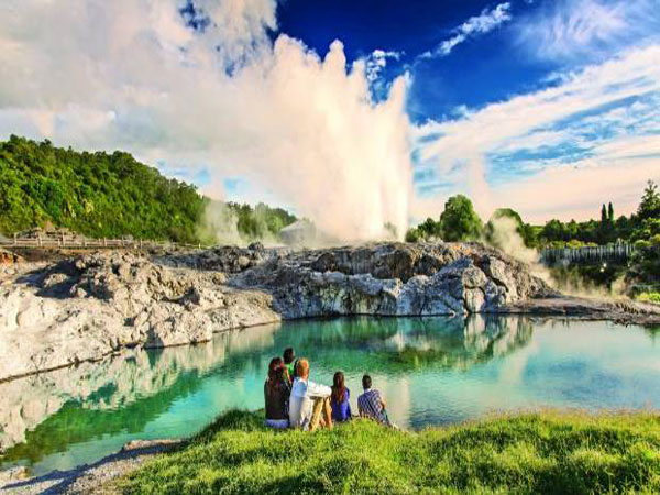 rotorua tours from auckland