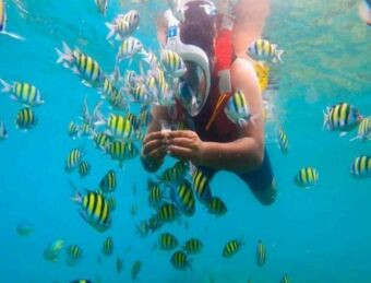04 Nights - 05 Days Port Blair - Havelock - Neil Island Tour