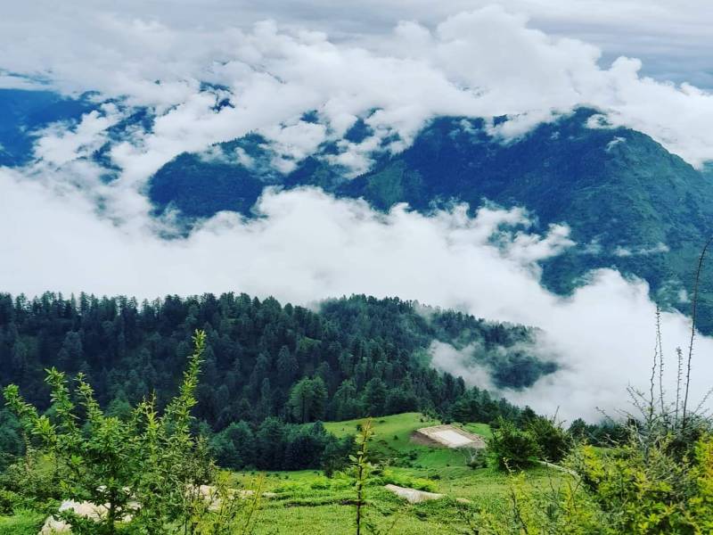Chopta - Tungnath - Chandrashila Trek 4 Days Tour
