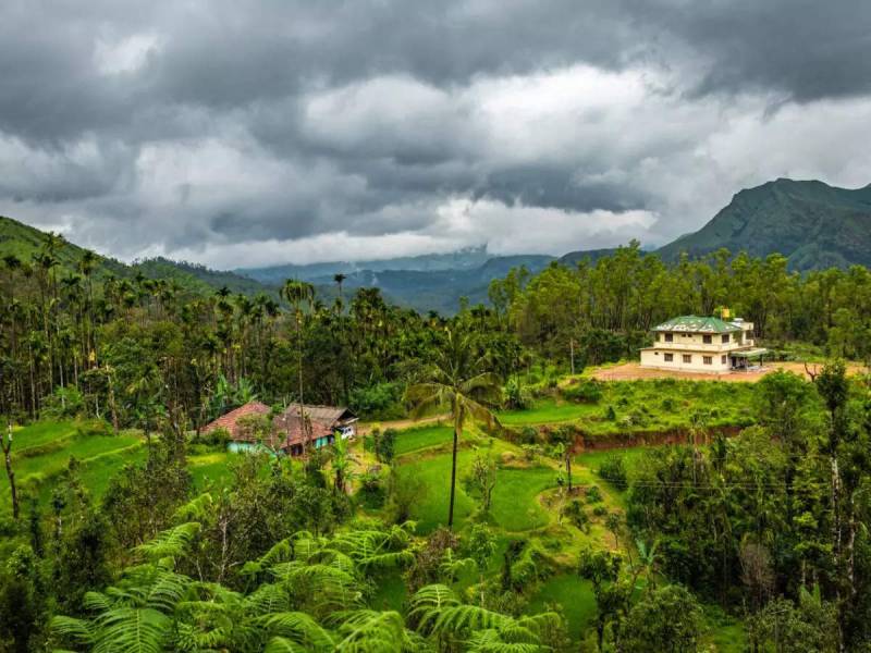 2 Nights 3 Days Coorg Tour Ex - Bangalore