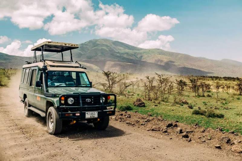 Safari Day Trip Tour To Ngorongoro Crater