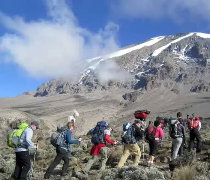 6 Days Kilimanjaro Trekking - Lemosho Route Tour