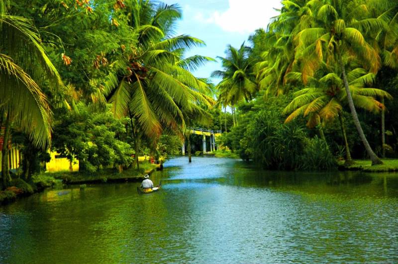 Beach - Backwaters Of Kerala