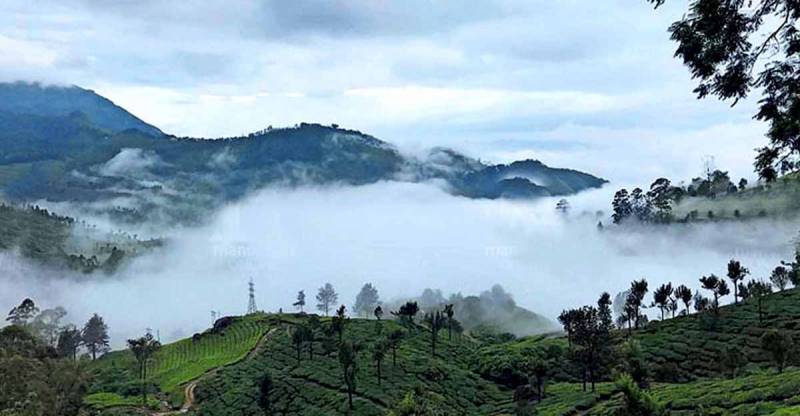 Kerala Most Demanded