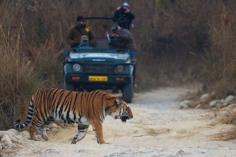 5-Day Nainital-Jim Corbett Itinerary Tour