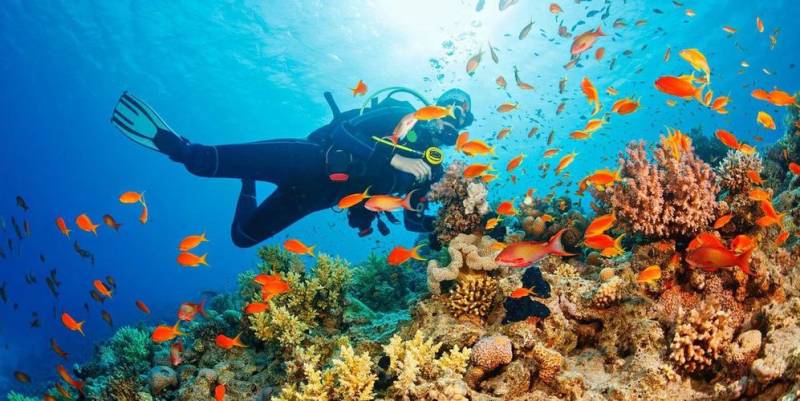 Andaman Package 4Night 5Days With Havelock