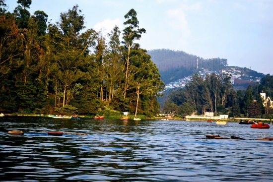 2 Nights 3 Days Bangalore to Ooty Tour Package