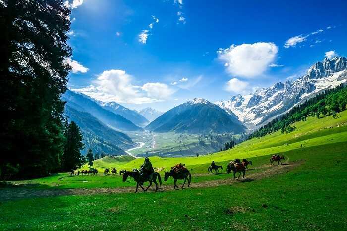 Travel Packages Kashmir Valley 3 Star 4 Nights 5 Days