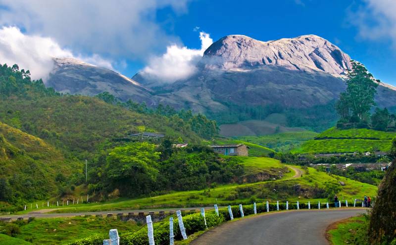 4 Days Munnar Honeymoon Packages