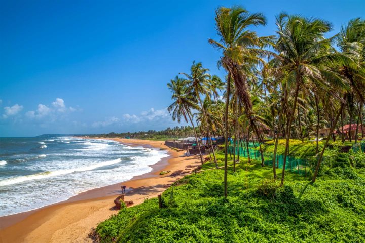 Amazing Goa 3 Night 4 Day Tour