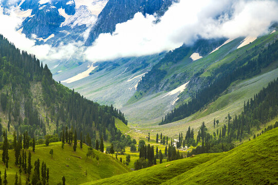 5 Nights 6 Day Kashmir Tour Package
