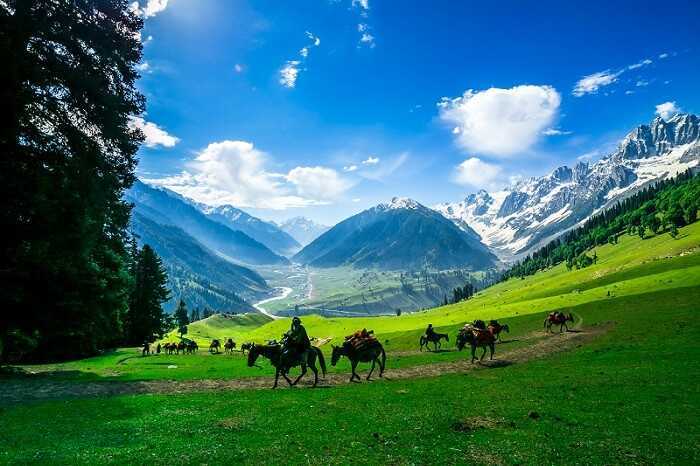 Kashmir 4 Nights - 5 Days Tour Package