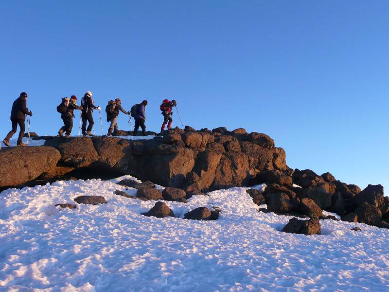 Mount Kilimanjaro Day Hike Tour