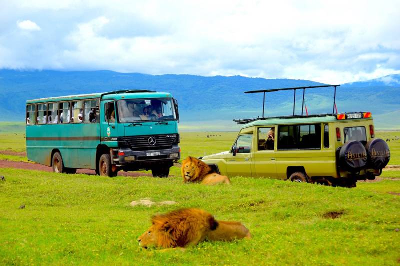 5 Days Tanzania Wildlife Safari Tour