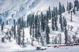 5N - 6D Kashmir Family Package
