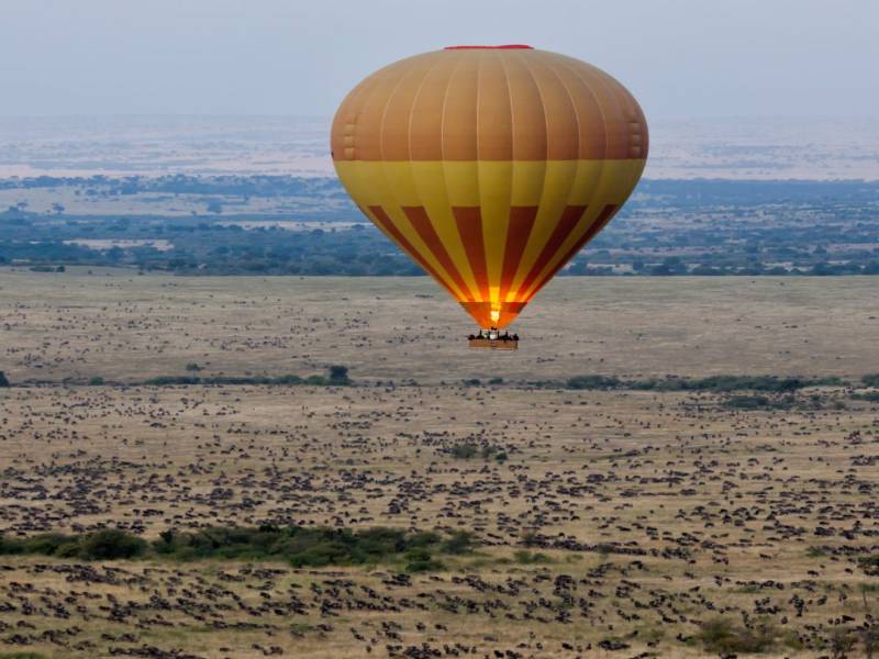 4 Nights 5 Days Maasai Mara Migration Special Offer