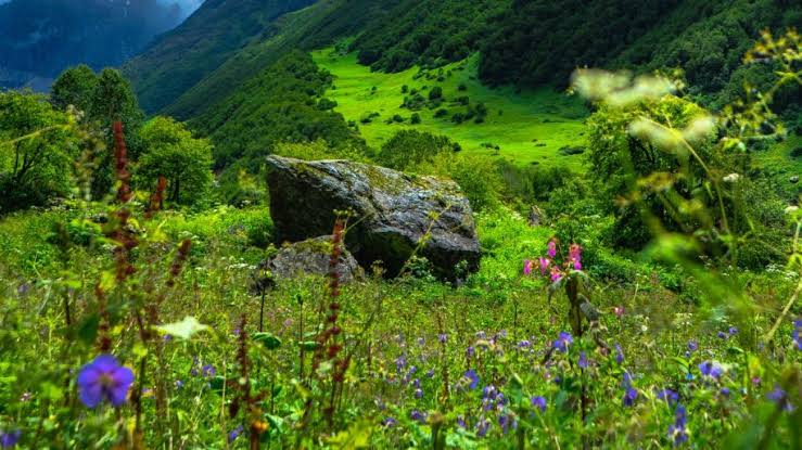 5 Night - 6 Days Valley Of Flowers Tour