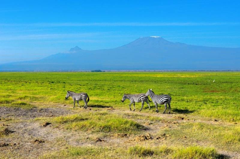 11D 10N Kenya And Tanzania Mid-Range Private Safari-Amboseli Tour