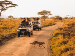 Tanzania Big 5 Safari - 6 Nights 7 Days Tour