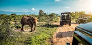 Tanzania Migration Safari - 8 Nights 9 Days Tour