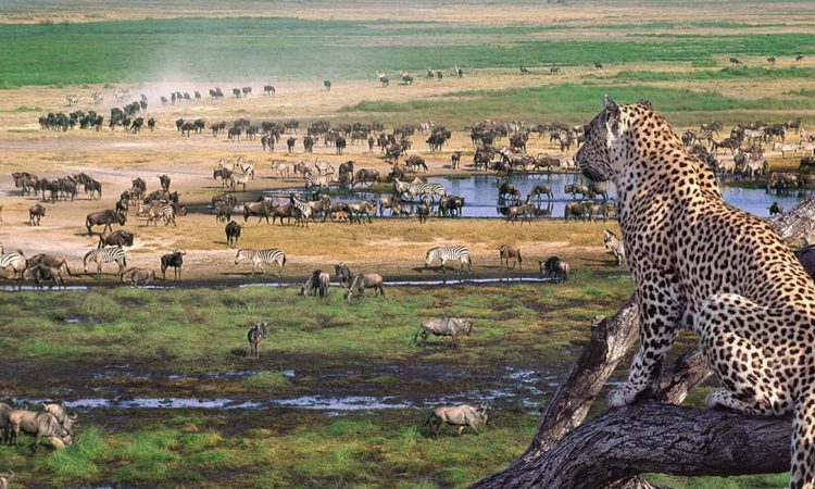 13D Safari - Zanzibar Beach Experience - Discover Tanzania’s Wonders Tour