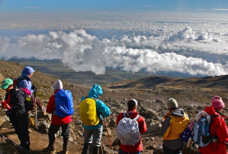 6 Day Rongai Route Kilimanjaro Trek - Conquer Africa’s Roof Tour