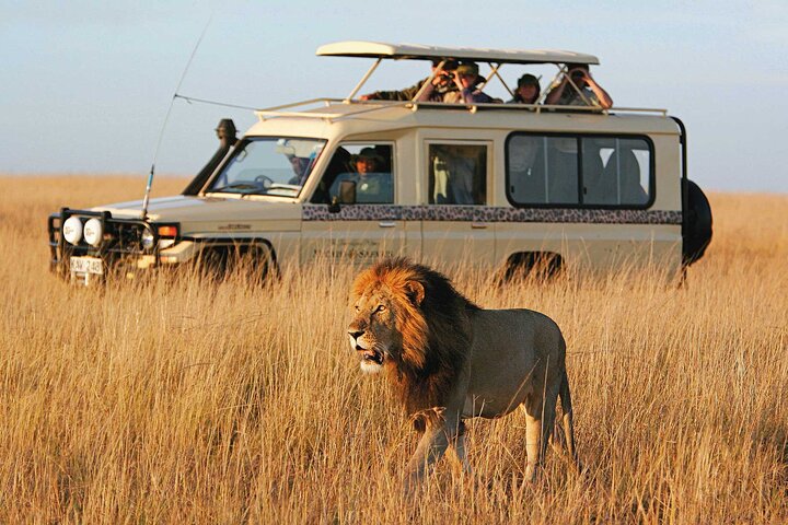 3 Day - 2 Night Maasai Mara Tour