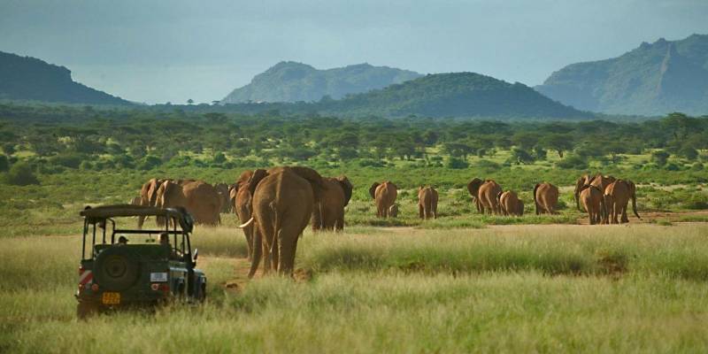 8 Days and 7 nights Kenya Package