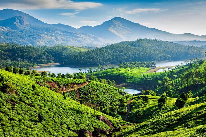 Kerala Hills - Backwaters 6D - 5N Tour