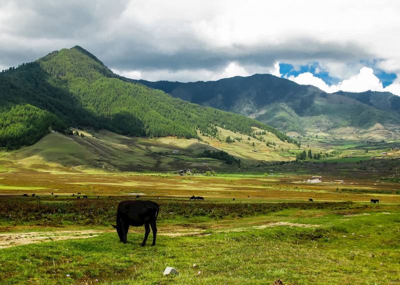 10 Nights - 11 Days Bhutan Tour Package