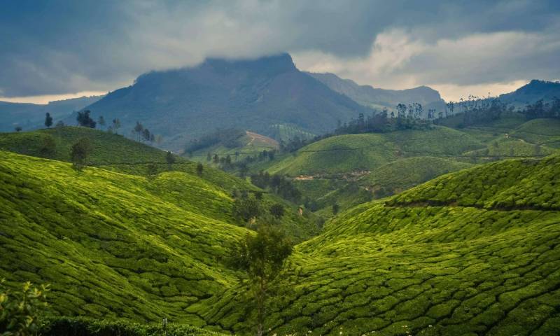 Kerala Tour Package 9 Night - 10 Days