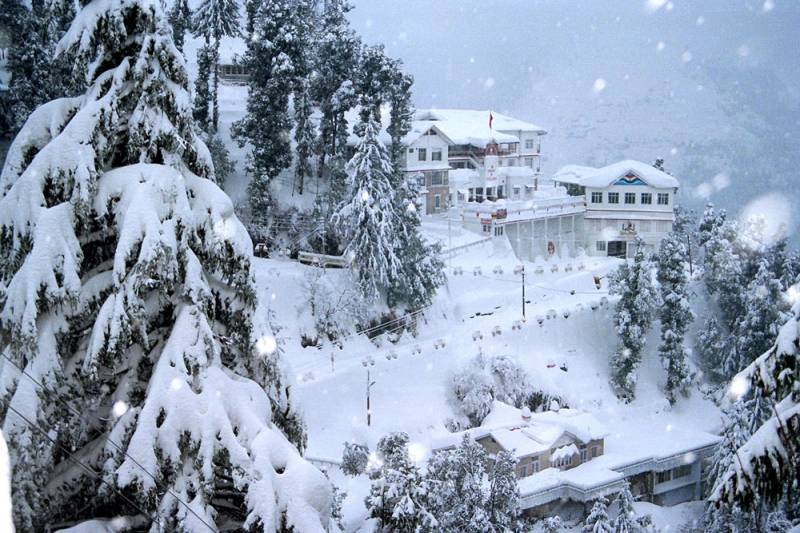 4 Days Shimla Luxury Tour Package Ex - Chandigarh