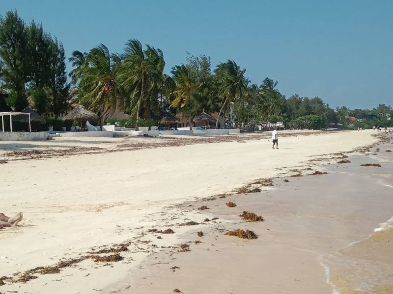 Bush - Beach 9 Days Safari Tour