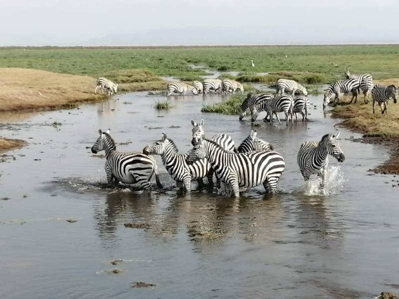 6 Days Kenya Safari Tour