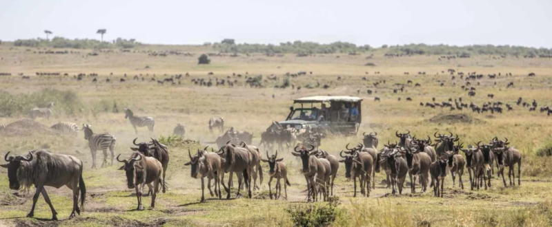 2-Day Maasai Mara Tour Package