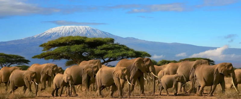 2-Day Amboseli National Park Tour