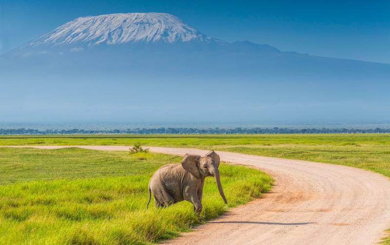 3 Days Amboseli Adventure Tour