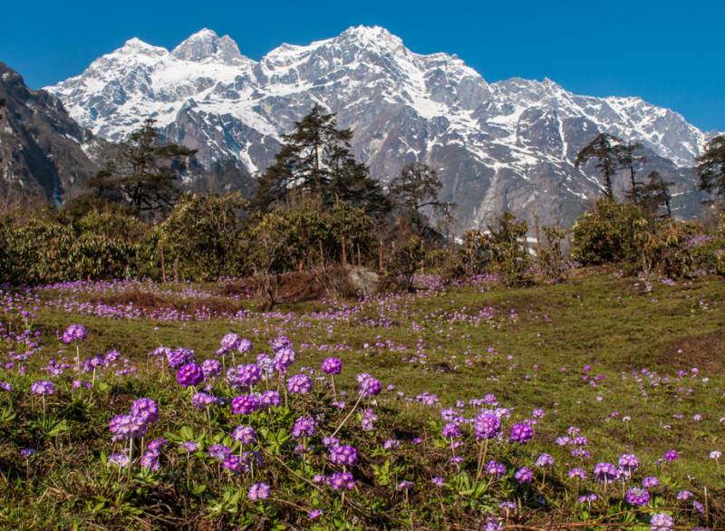 Beauty Of North Sikkim Tour